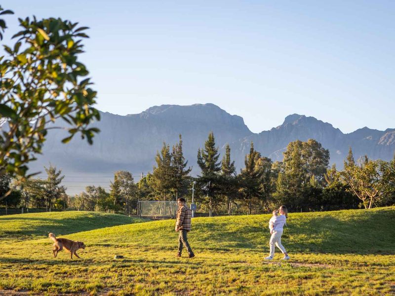 Modern Winelands living with an ideal park frontage location on Paarl Valleij Lifestyle Estate & Farm - Photo 9