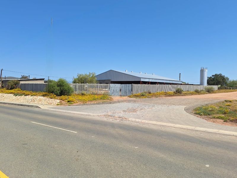 WHOPPERTUNITY ! - Photo 3