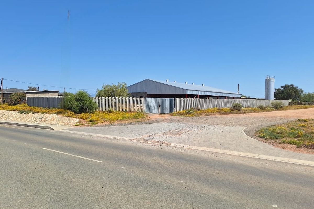 WHOPPERTUNITY ! - Photo 3