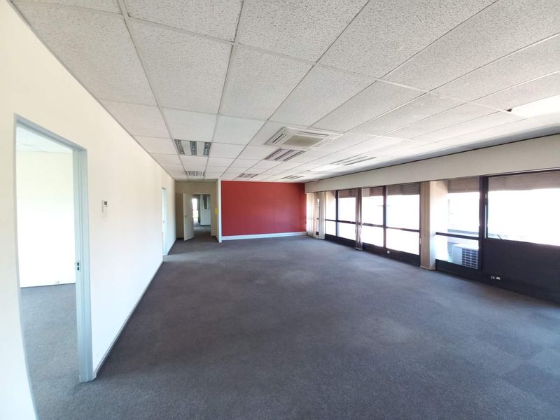 Spacious open-plan office area featuring a suspended ceiling, large windows providing natural light, and neutral carpeting throughout.