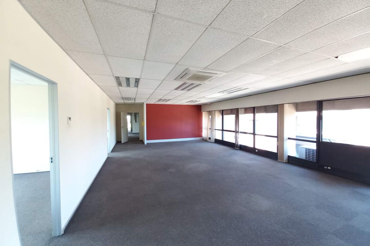 Spacious open-plan office area featuring a suspended ceiling, large windows providing natural light, and neutral carpeting throughout.