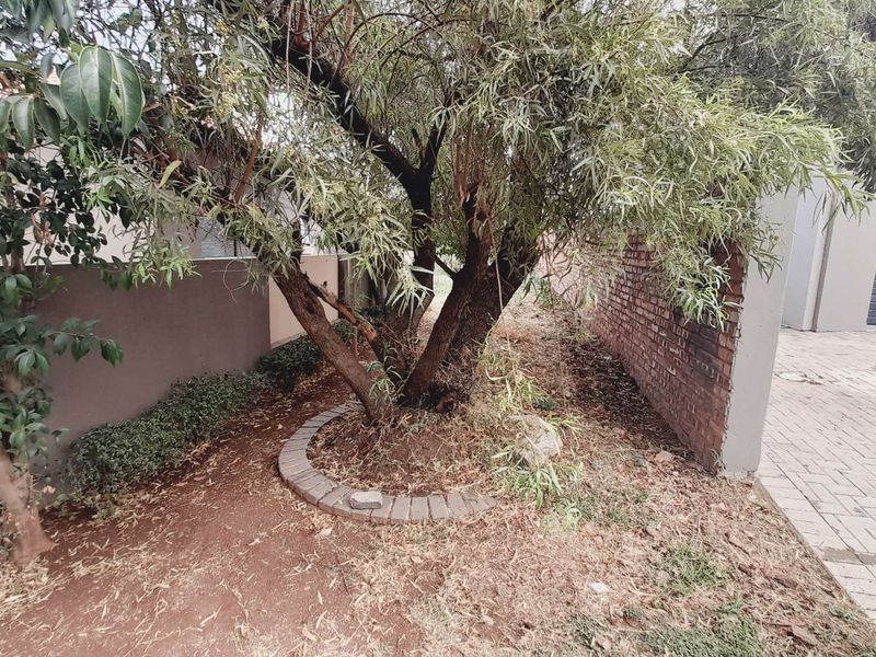 "Ultimate Privacy: Cul-de-Sac Gem in Birdwood Estate!" - Photo 8