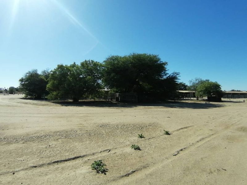 Exceptional Property Opportunity - Priced to Go - Photo 4