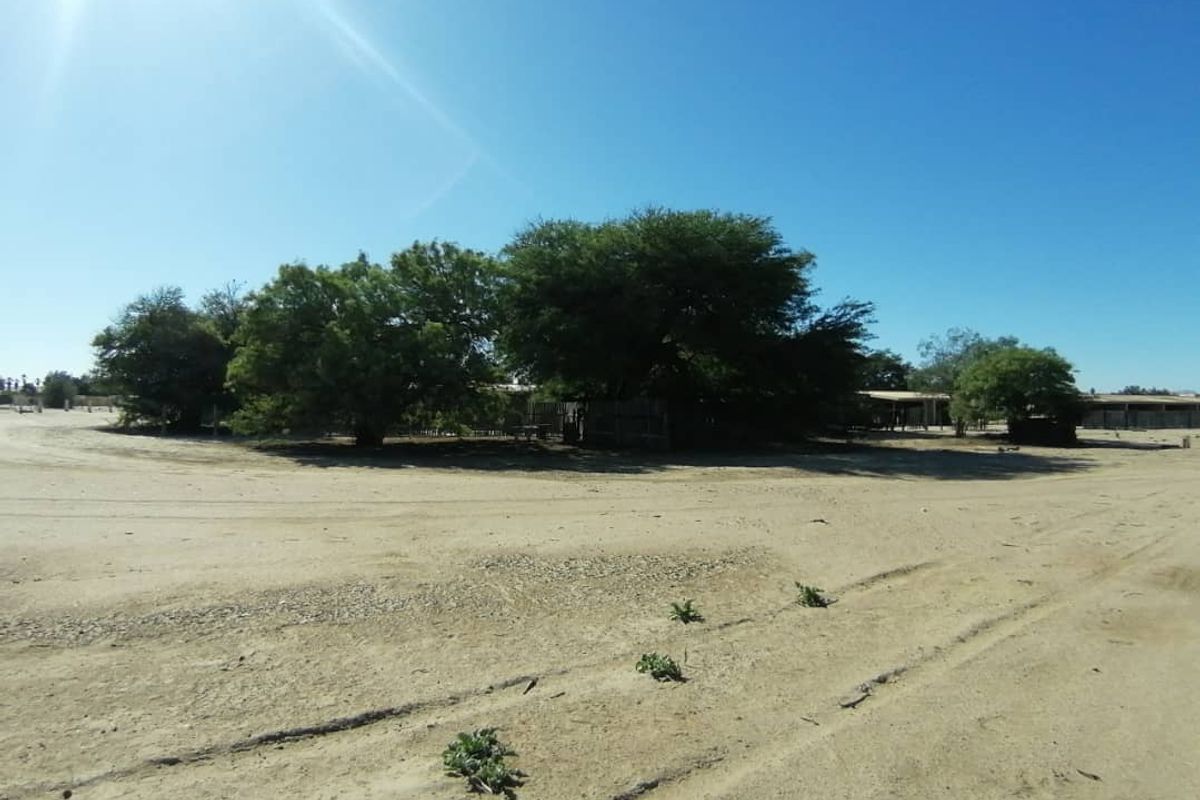 Exceptional Property Opportunity - Priced to Go - Photo 4