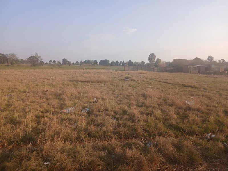 A wide, open residential plot of land featuring dry grass and a perimeter wall, offering a blank canvas for future development.