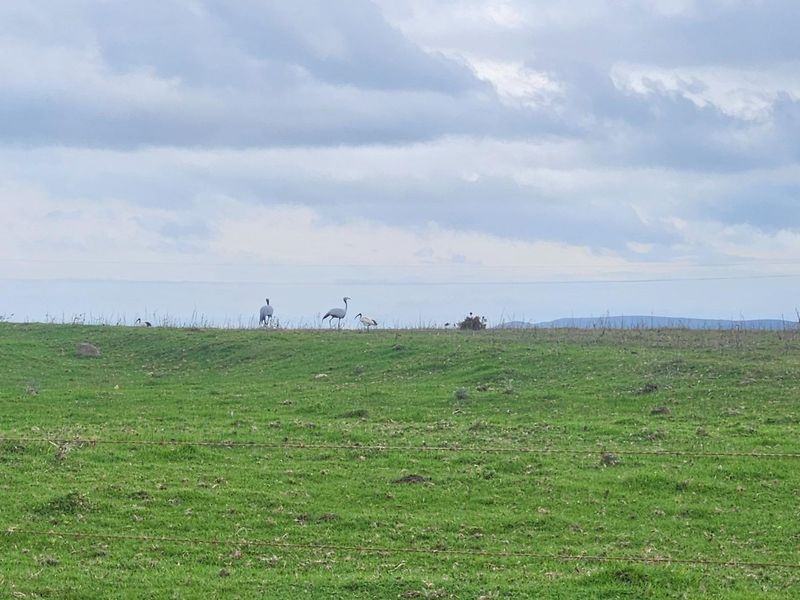 Get back-to-basics in beautiful B-Bos - Photo 9