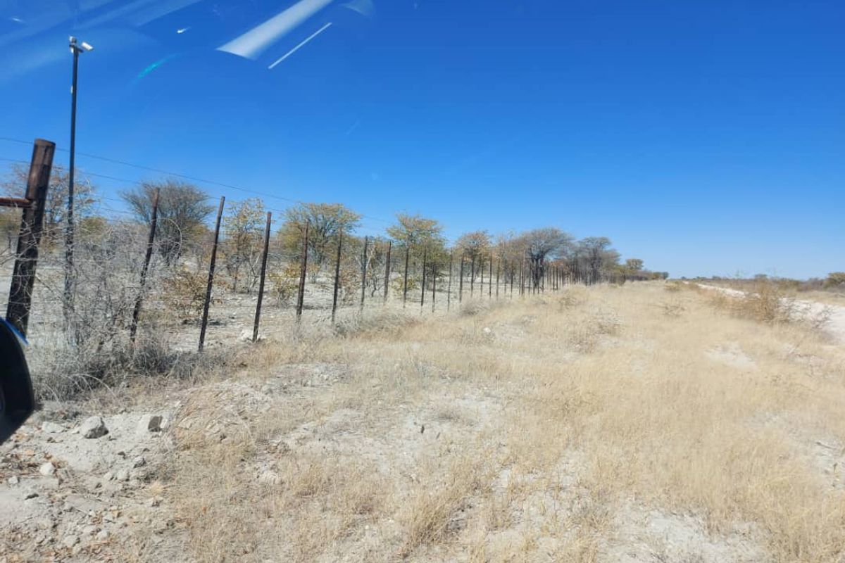 Prime Farm with Business Opportunities - For Sale - Photo 4