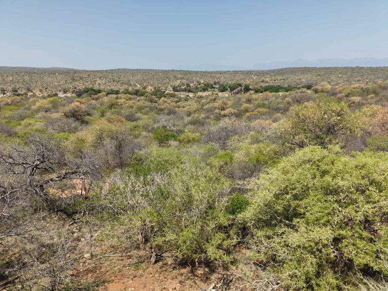 A wide-angle view of the surrounding natural landscape, featuring dense indigenous bushveld and rolling hills under a clear sky.