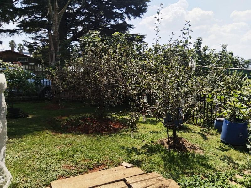 Prime Small Holding with Commercial Potential Next to Riverfields - Photo 8