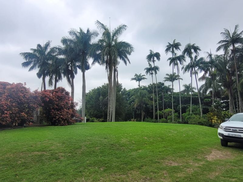 Farm in Rural Ballito - Photo 6