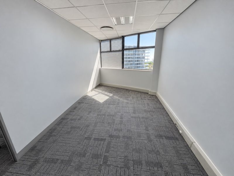 A clean, empty office space featuring grey carpet tiles, a suspended ceiling with recessed lighting, and a large window providing natural light.