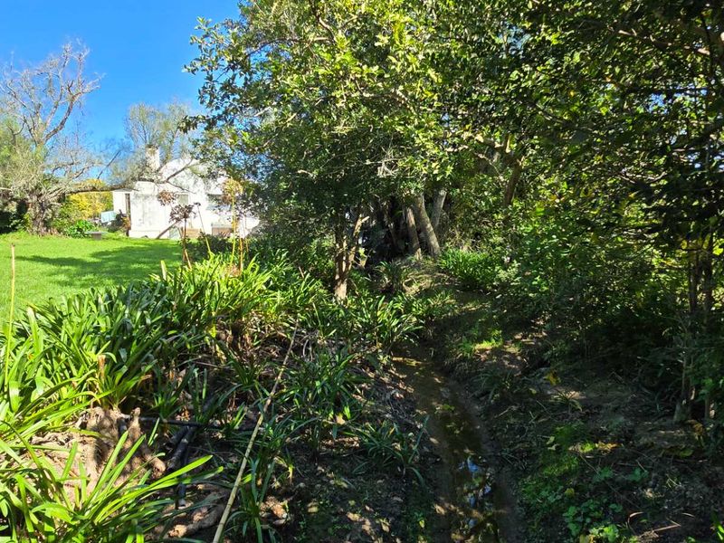 Charming Property with Scenic Views in Ruiterbosch - Photo 6