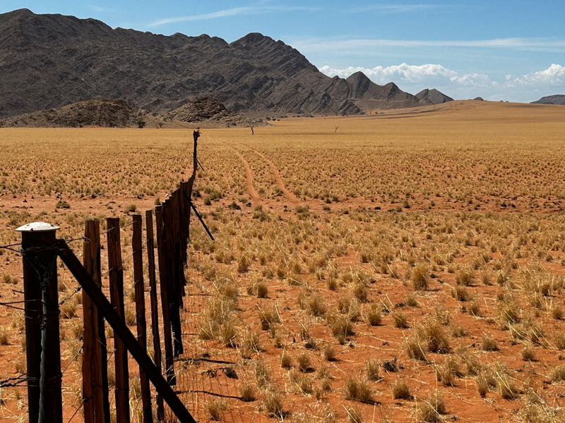 Untouched Desert Beauty - Photo 10