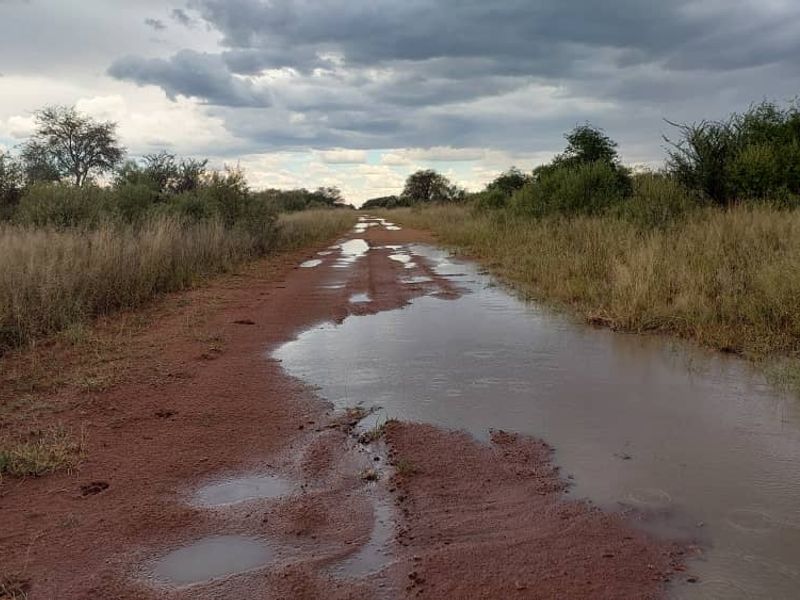 FOR SALE - Farm in the Steinhausen/Hochfeld area - Photo 7