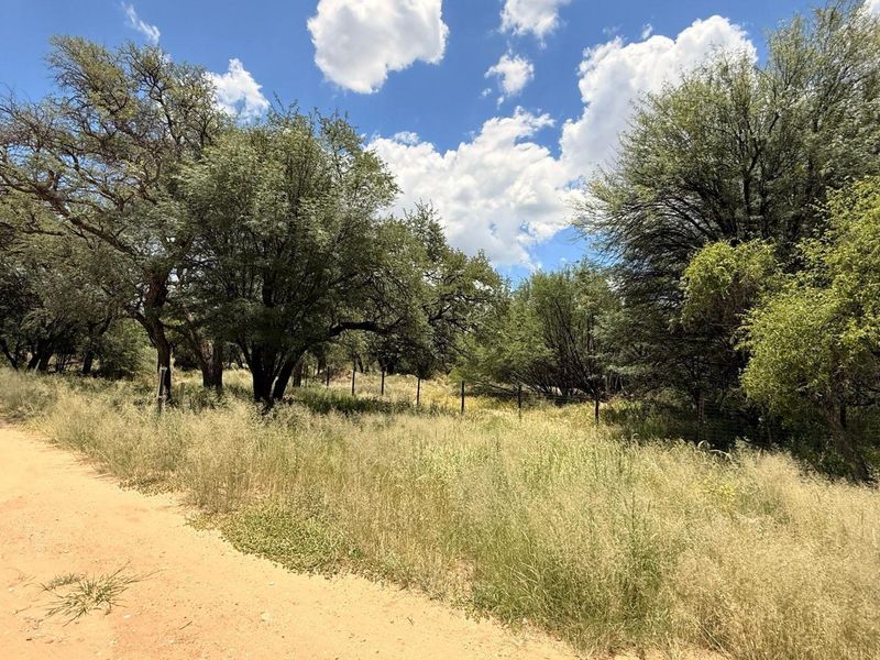 A view of a vacant residential plot featuring mature trees, natural vegetation, and perimeter wire fencing along a dirt road.