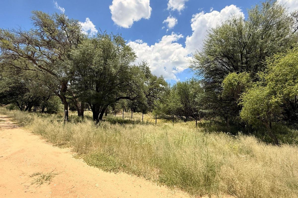 A view of a vacant residential plot featuring mature trees, natural vegetation, and perimeter wire fencing along a dirt road.