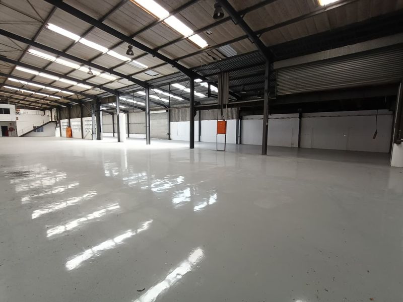 Spacious industrial warehouse featuring high ceilings, polished epoxy flooring, abundant natural light from skylights, and multiple roller shutter access points.