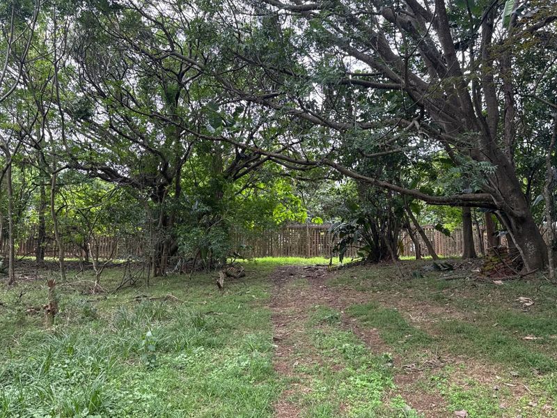 A view of a vacant residential plot featuring mature trees and perimeter fencing, offering a natural setting for potential development.