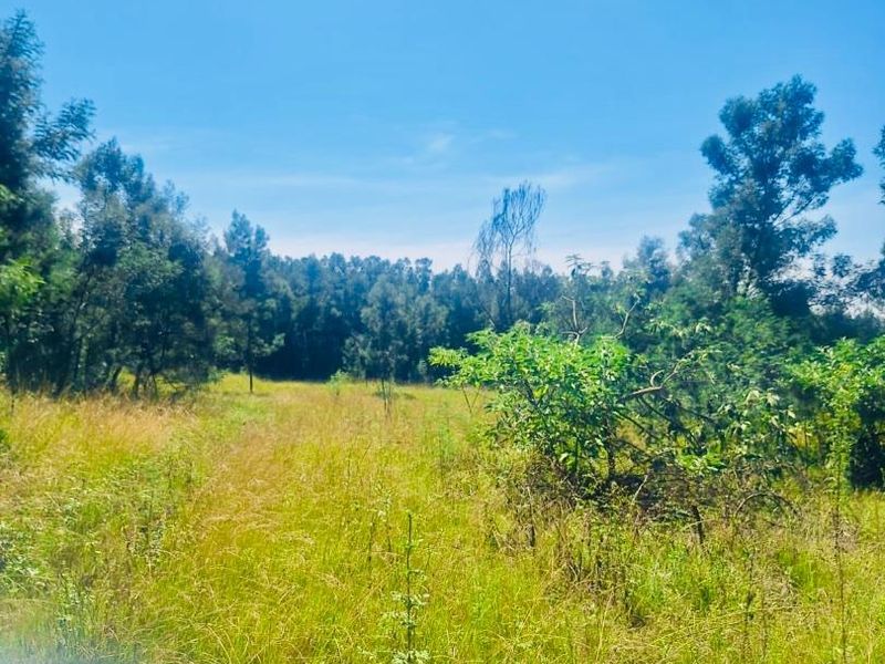 farm for sale in Vryheid area - Photo 5