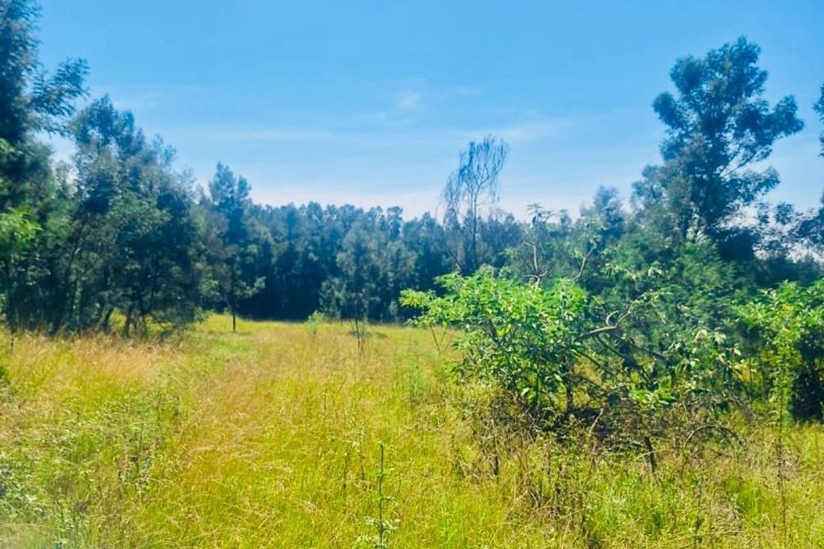 farm for sale in Vryheid area - Photo 5