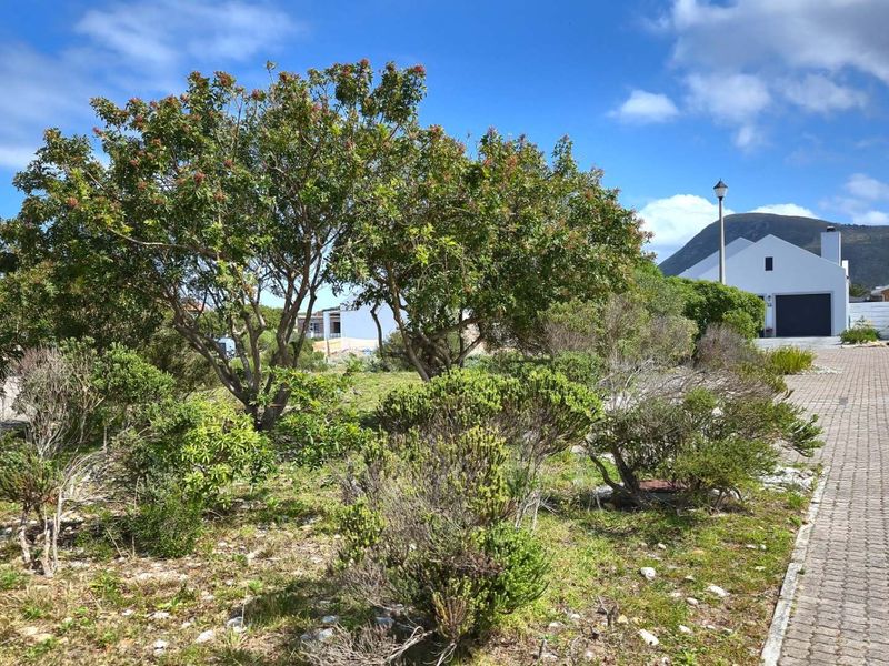 Prime Vacant Land in Franschekraal Villa Estate: Beach Proximity, Mountain Views and Tranquil Escape - Photo 8
