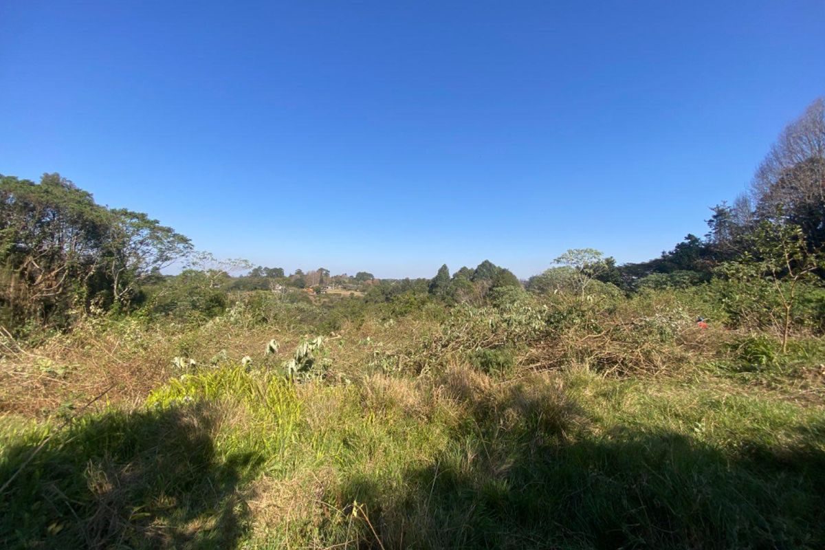 GENEROUS LAND OPPORTUNITY IN SOUGHT-AFTER EVERTON. - Photo 4