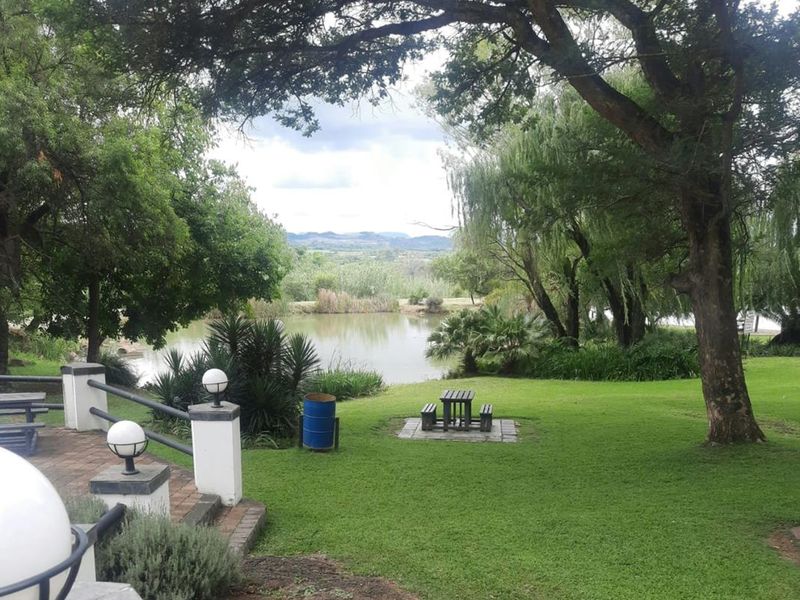 ESTABLISHED GAME FARM, MAKE AN OFFER!!! - Photo 7