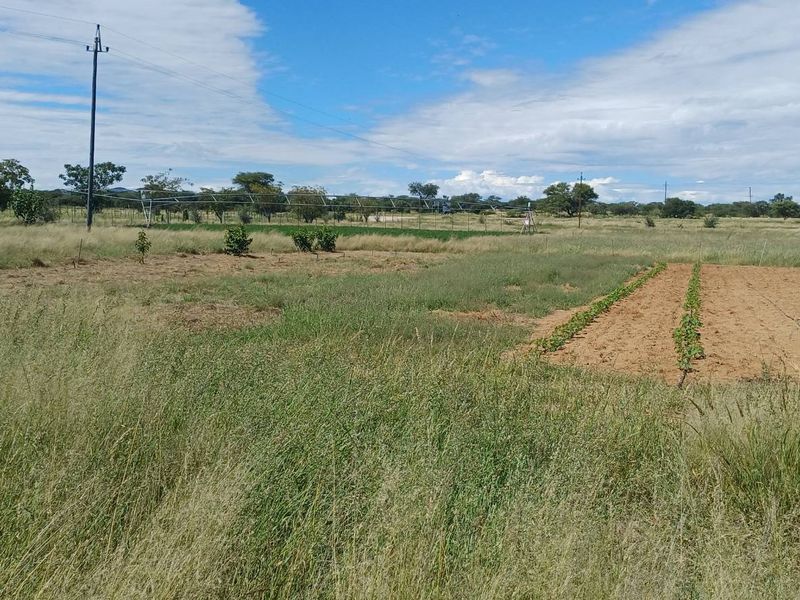 This is a unique opportunity to secure a versatile property combining comfortable living, efficient operation, and strong income potential. - Photo 8