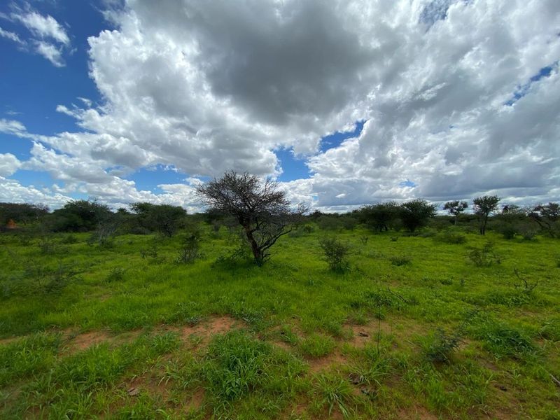 Just beyond the city limits, a different pace of life awaits. One where nature sets the schedule and every day begins with a little more breathing room. - Photo 3