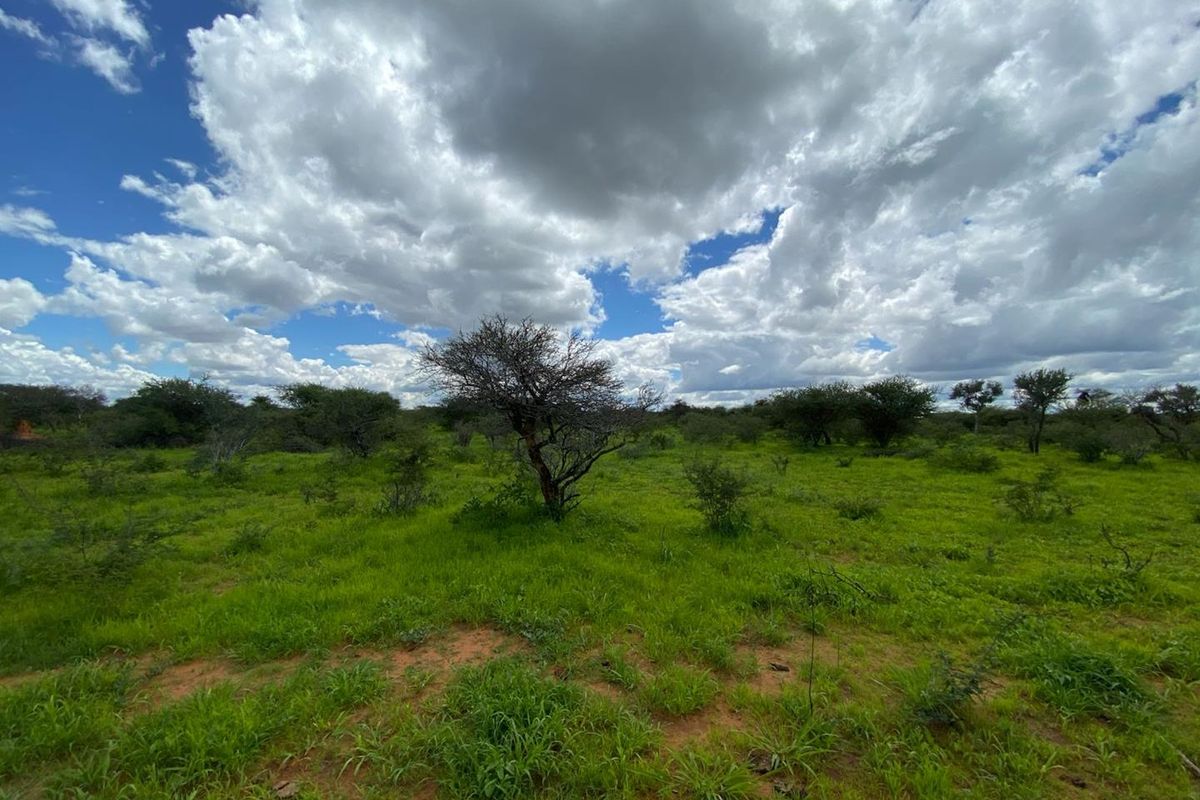 Just beyond the city limits, a different pace of life awaits. One where nature sets the schedule and every day begins with a little more breathing room. - Photo 3