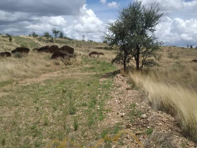 An expansive view of the natural landscape featuring indigenous trees, rocky outcrops, and open veld terrain on the small holding.