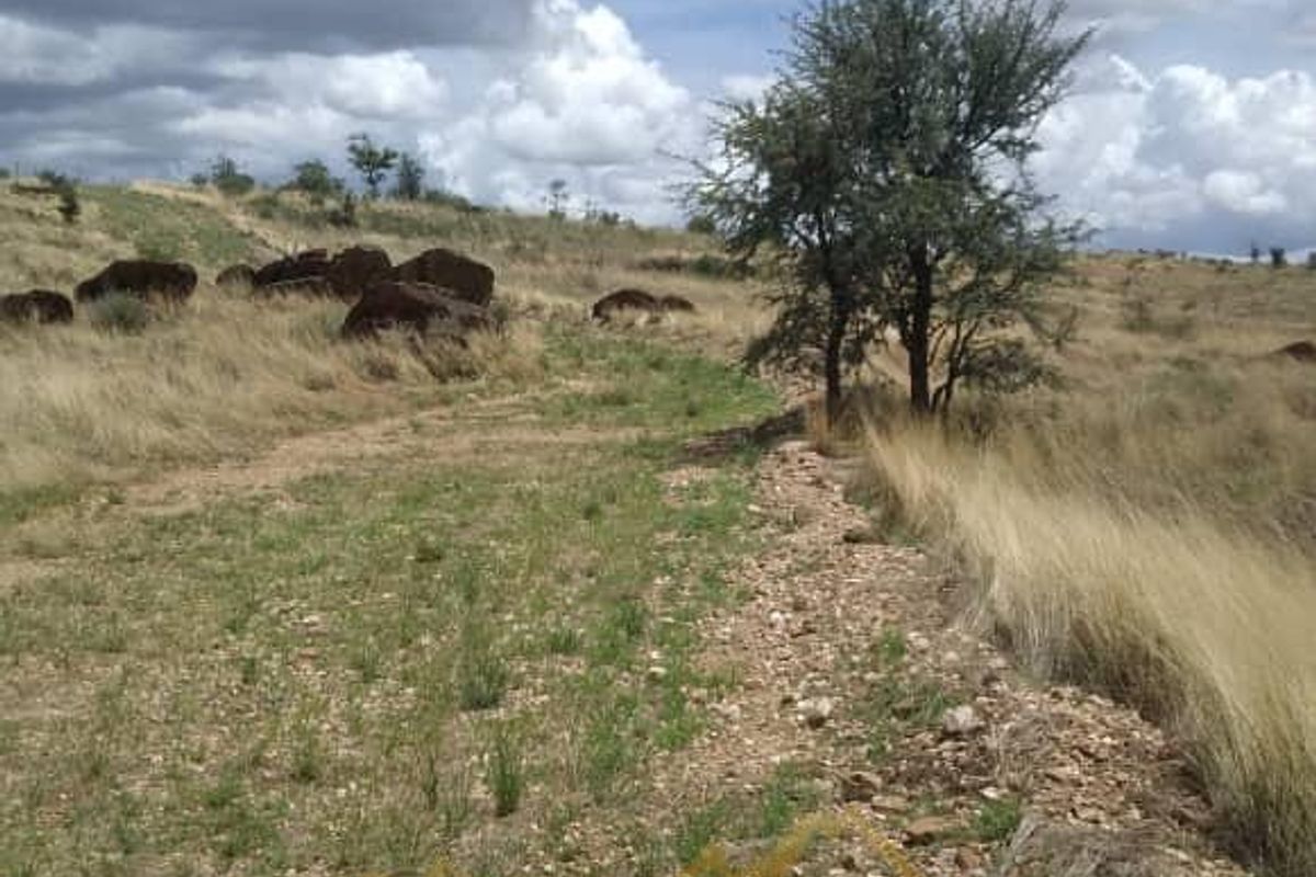 An expansive view of the natural landscape featuring indigenous trees, rocky outcrops, and open veld terrain on the small holding.