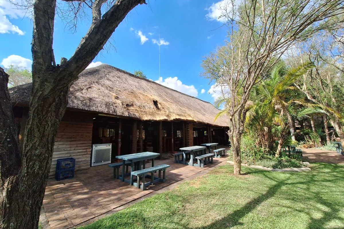A view of the rear exterior featuring a thatched roof structure, paved patio area, and surrounding garden space.