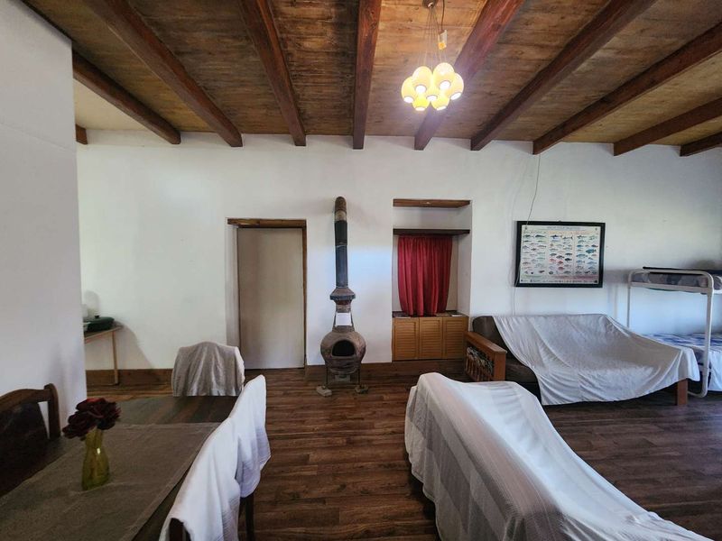 SEAFRONT FARM WITH RESORT ZONING - Photo 5