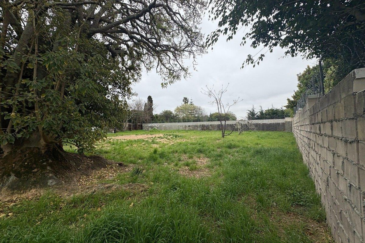 Vacant Land for Sale – 10 Spaanschemat River Road, Belle Constantia - Photo 3