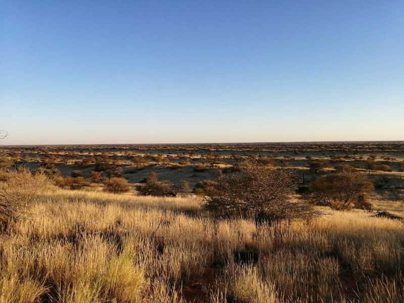 OWN YOUR PIECE OF NAMIBIA - FARM FOR SALE IN NAMIBIA - Photo 6