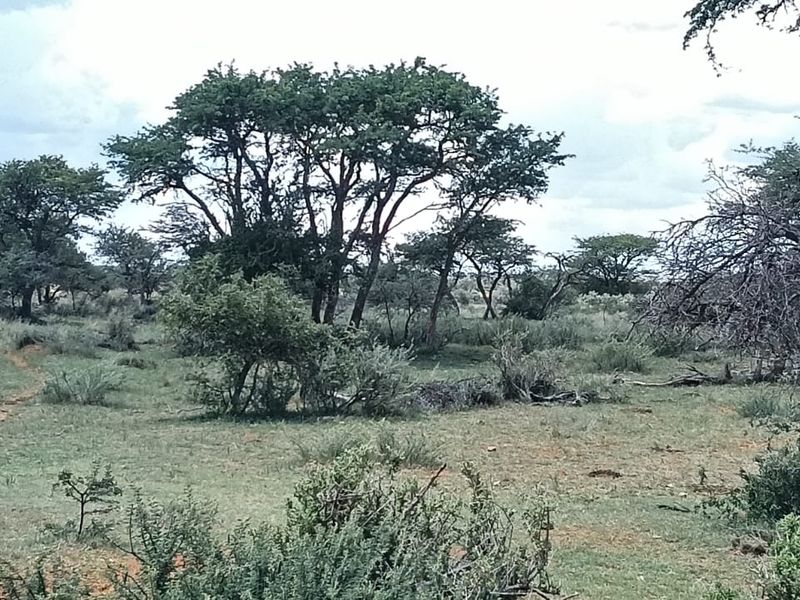 READY FOR DEVELEPMONT. 14 PLOTS . IN GAME FARM. BEAUTIFUL VIEW. - Photo 8