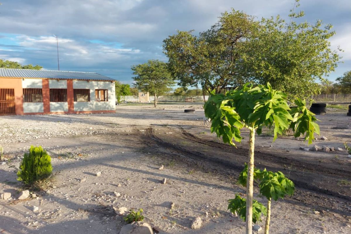 FOR SALE- FARM IN THE TSUMEB/ ETOSHA AREA, NAMIBIA - Photo 2
