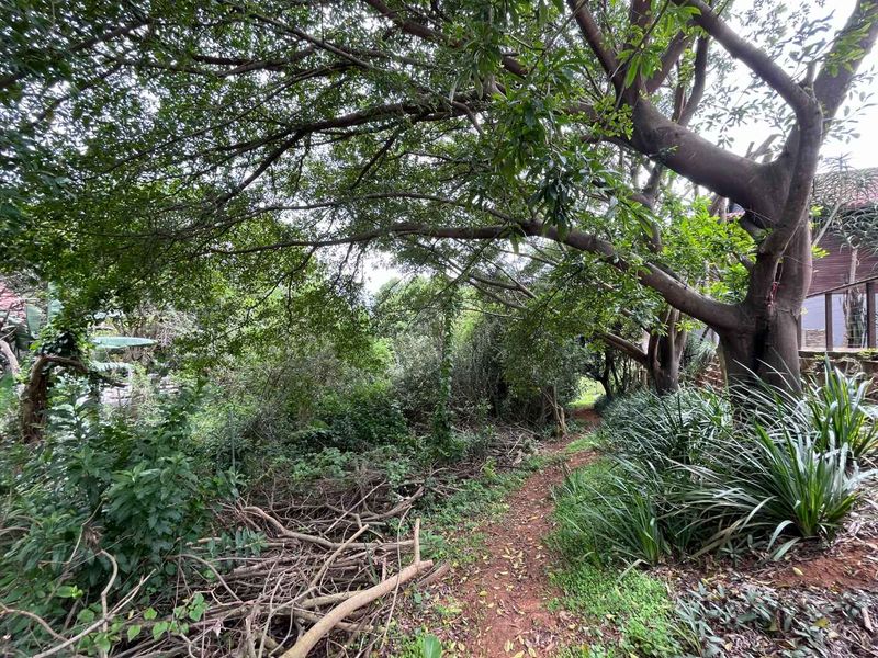 Vacant Land for Sale in Zimbali – 1,252sqm of Prime Coastal Living - Photo 3