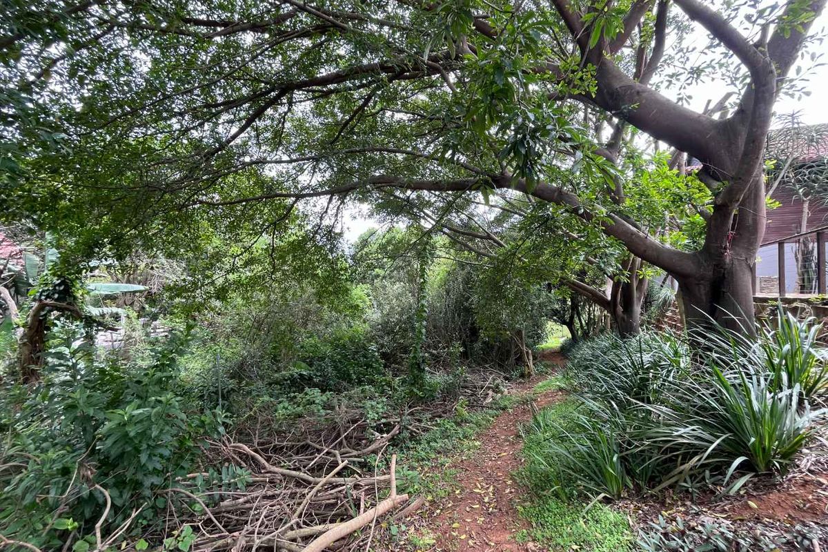 Vacant Land for Sale in Zimbali – 1,252sqm of Prime Coastal Living - Photo 3