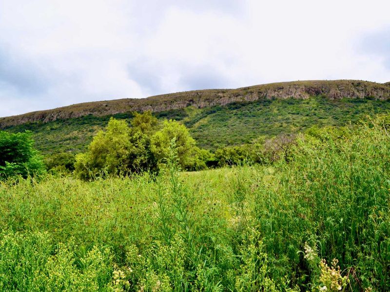 ***7ha Bushveld Property with Equestrian Facilities & Multiple Income Possibilities – Kameeldrift West | Under R3m*** - Photo 6