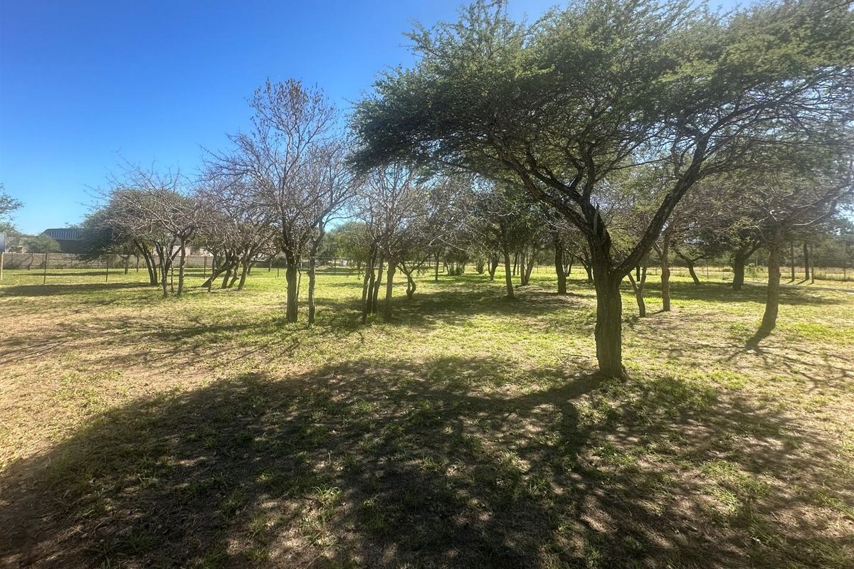 Commercial Stand for Sale - Zandspruit Boulevard, Hoedspruit - Photo 4