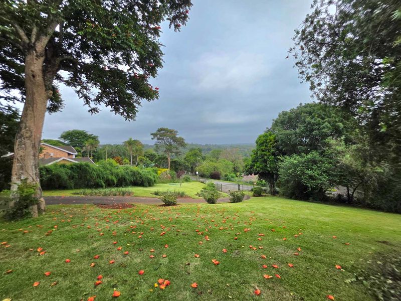 ALL OFFERS WELCOME – URGENT SALE IN PRIME KLOOF LOCATION! - Photo 5