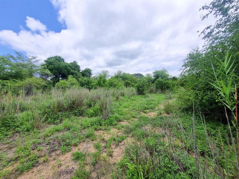 Well-Located, Riverfront Stand in Moditlo Wildlife Estate - Photo 7