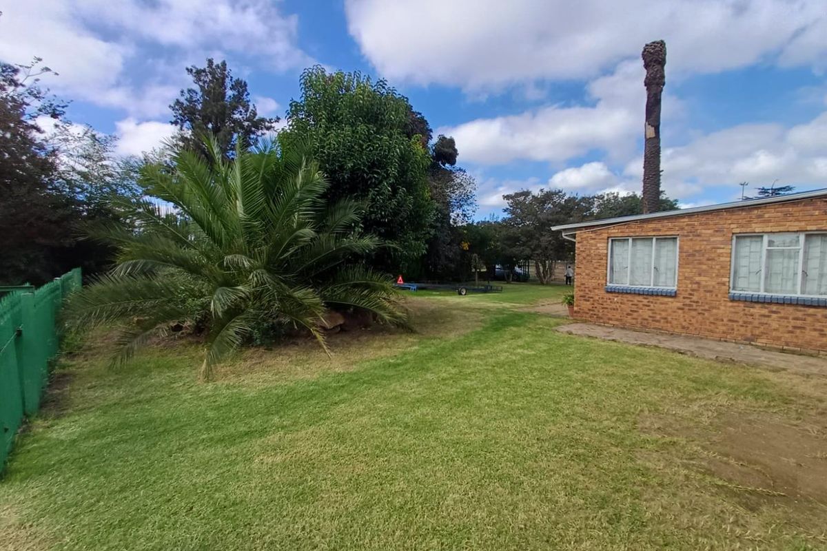 A spacious rear garden featuring a brick exterior wall, established palm tree, and a large lawn area.