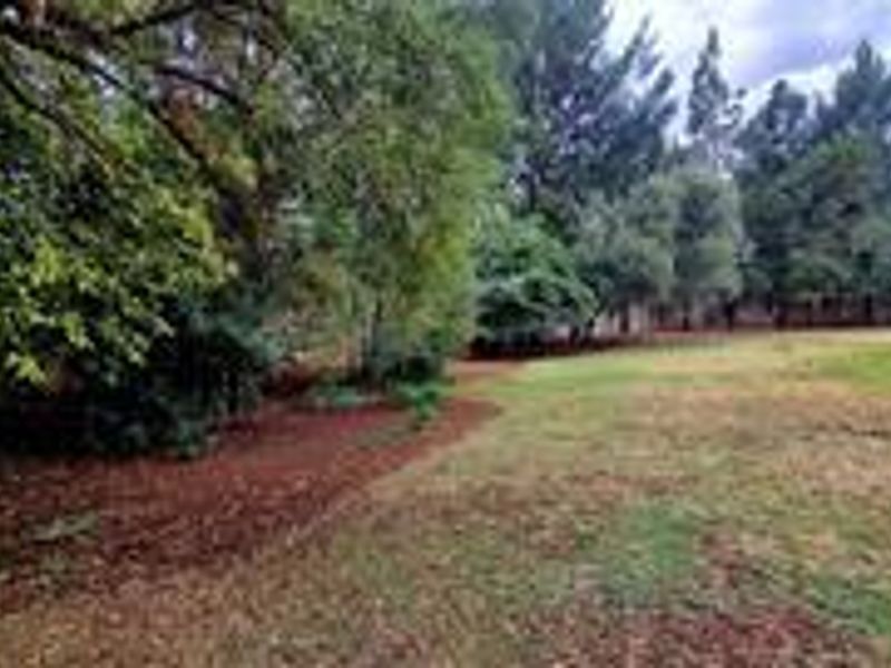 Versatile Smallholding with Business Rights - Photo 4