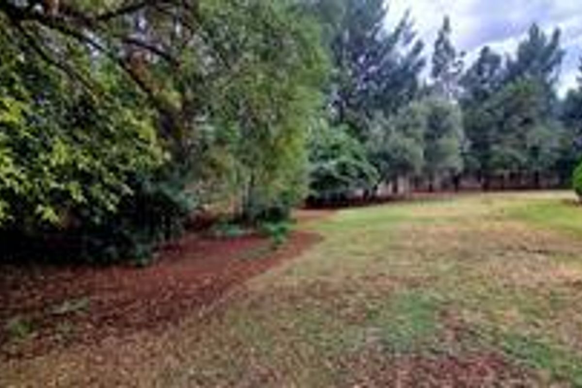 Versatile Smallholding with Business Rights - Photo 4