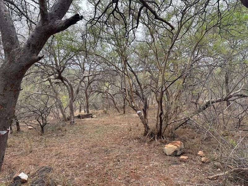 Discover Eco-Living at Elephant Rock Eco Estate – Vacant Land Now Available - Photo 2