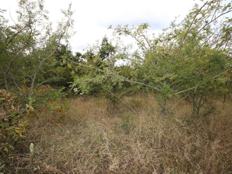 Vacant Land in MODITLO NATURE RESERVE - Photo 6