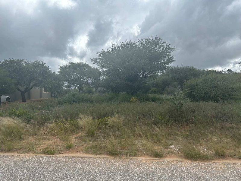 A view of a vacant residential plot featuring native vegetation, mature trees, and direct access to a paved road.